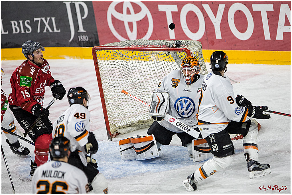 DEL, Koelner Haie - Grizzlys Wolfsburg, 17.03.2017